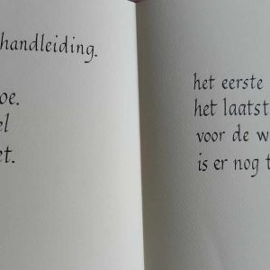 Workshop kalligrafie module 1 van Witruimte - Lochristi