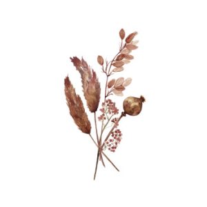 wenskaart droogbloemen - Days of bloom