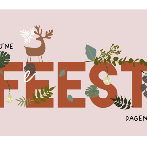 Kerstpakje 5st - Fijne feestdagen