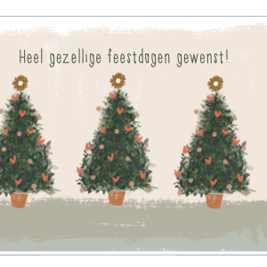 Kerstpakje 5st - gezellige feestdagen
