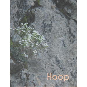 wenskaart Hoop - Natural Design