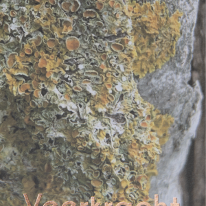 wenskaart Veerkracht - Natural Design