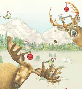 kerstkaart Kerstelanden - Wishingwell