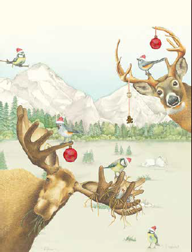 kerstkaart Kerstelanden - Wishingwell