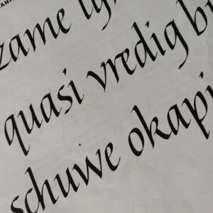 Workshop kalligrafie module 1 van Witruimte - Melle - zaterdag vm