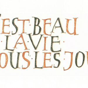 Kalligrafie - c'est beau la vie - ontwerp Jürgen Vercaemst