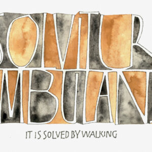 Kalligrafie - solvitur ambulando - ontwerp Jürgen Vercaemst