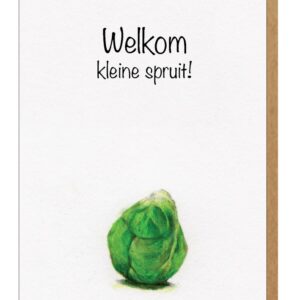 wenskaart geboorte - Lieve Claesen