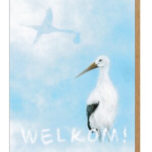 wenskaart ooievaar- Lieve Claesen